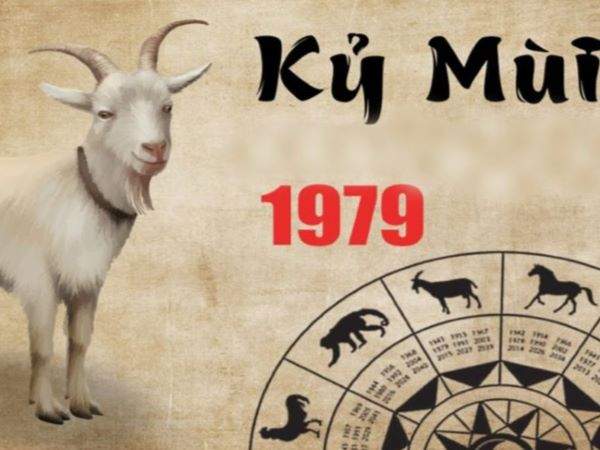 Con số may mắn tuổi Kỷ Mùi 19/12/2025 có gì đặc biệt?